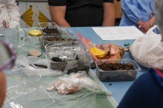 img-07bab8d4237db02f31cfaec5de291955-v-1280×800