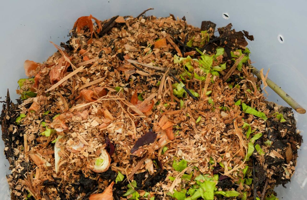 img-2ef93bda4875ddaff28f5c5c50cfcce9-v-1280×833 (1)