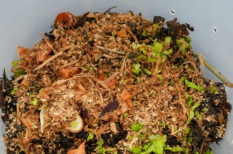 img-2ef93bda4875ddaff28f5c5c50cfcce9-v-1280×833