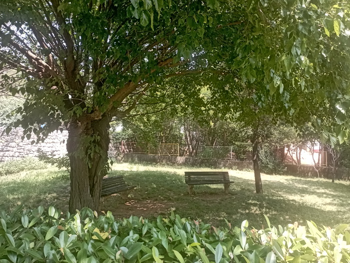 s-druge-strane-ograde-i-vrtica-i-zgrade-mjesnog-odbora s-druge-strane-ograde-i-vrtica-i-zgrade-mjesnog-odbora