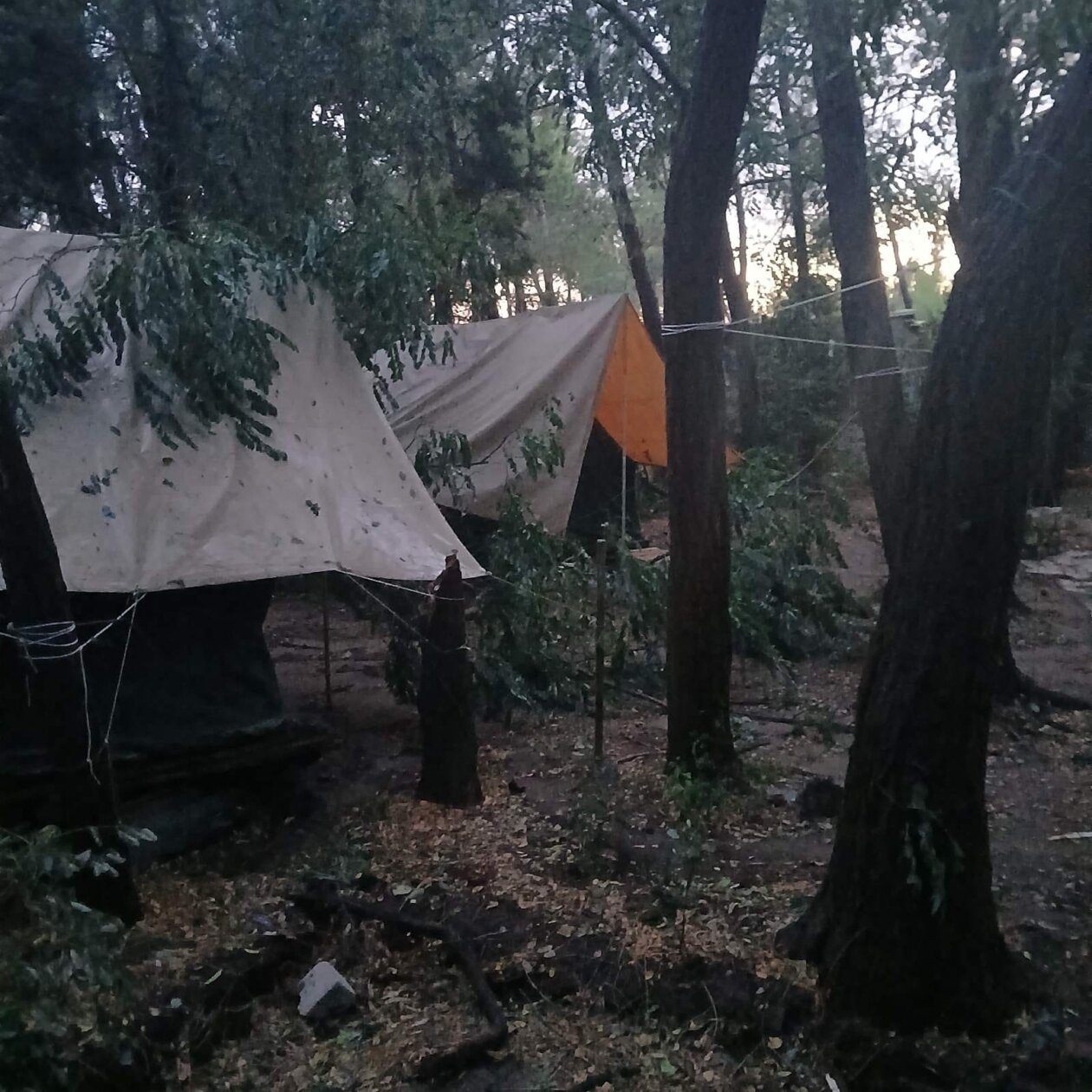 274247bf-9b67-4770-a93d-e75d164f3ac6