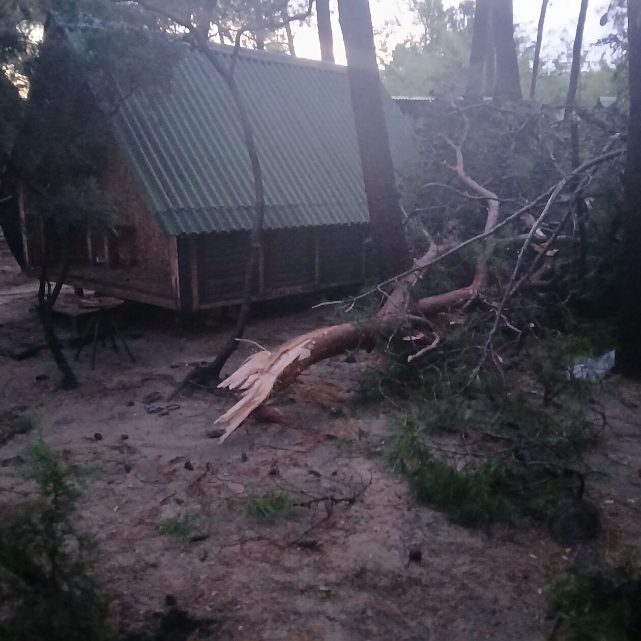 50a98d3a-d9f6-4818-895d-1ff099ecd897