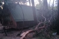 50a98d3a-d9f6-4818-895d-1ff099ecd897