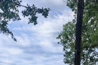 513571824_1287726106698637_1782945590344882358_n 513571824_1287726106698637_1782945590344882358_n