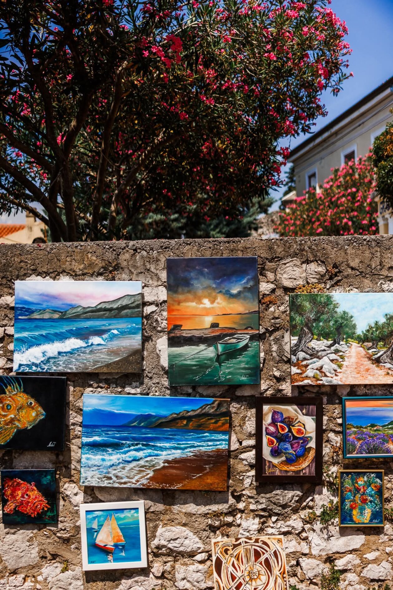 516464548_1355252712786668_5633461716776654181_n