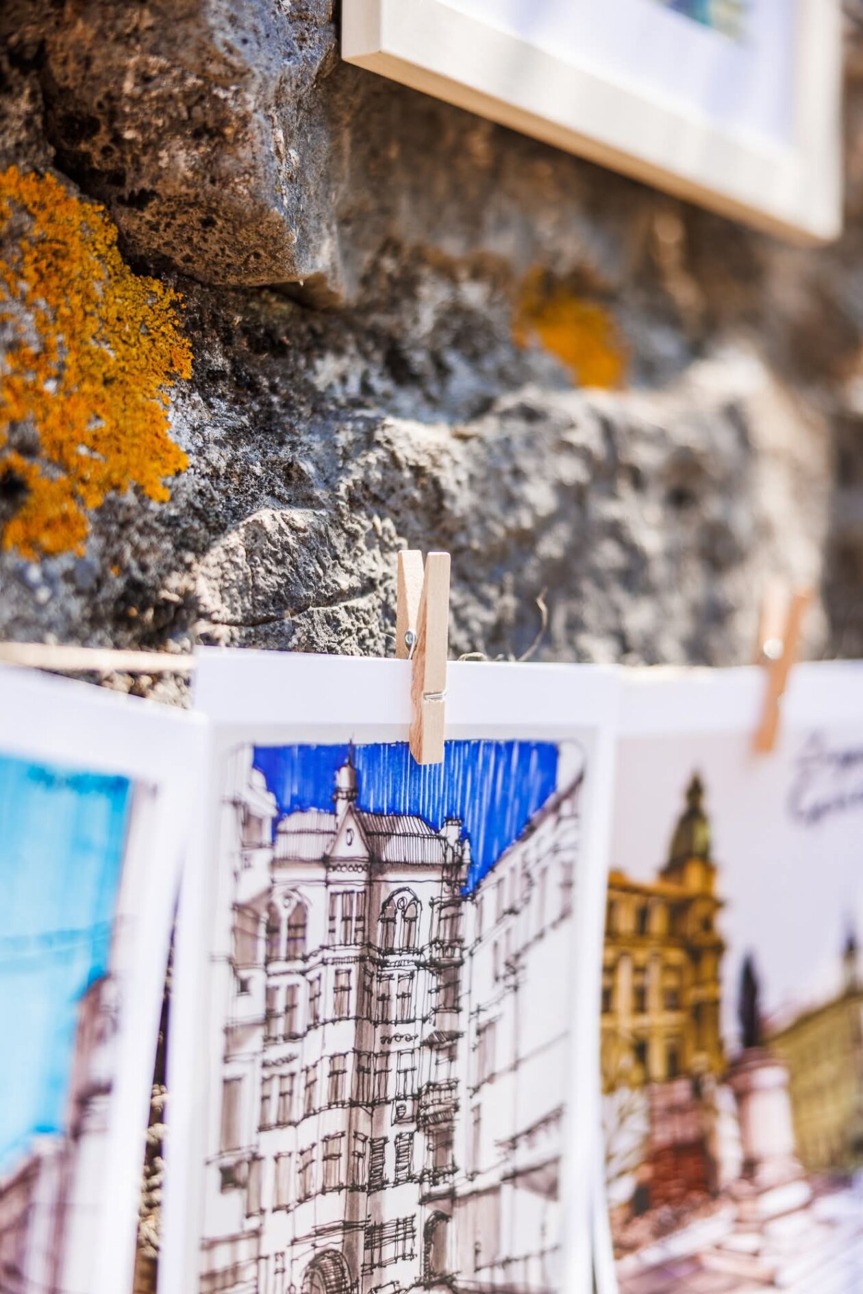 516735111_1355252956119977_627071254741109232_n