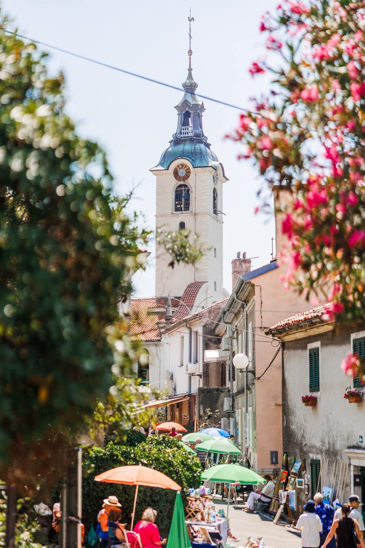 516808821_1355252412786698_1832653420618903518_n