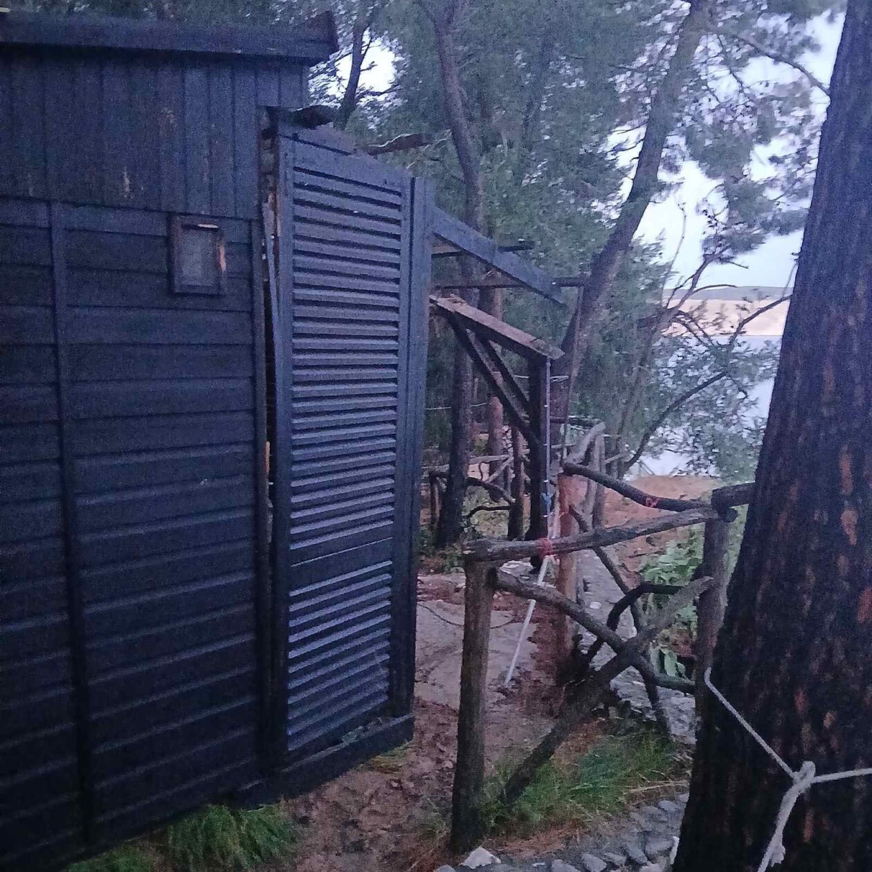 97ed76df-9778-41c8-bb7a-3b48ac9a3709