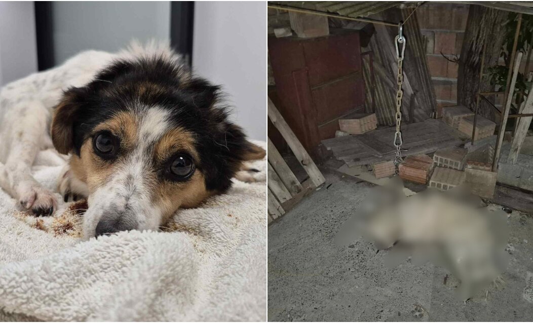 BeFunky-collage (15)