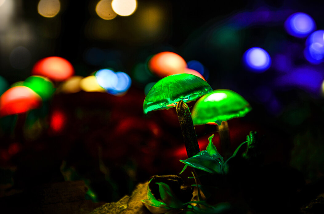 Installation Magic Garden by Visualia Group, foto by Giordano Cellich Installation Magic Garden by Visualia Group, foto by Giordano Cellich