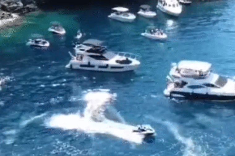 JET SKI KOLOČEP MORSKI.HR