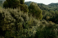 Kave+Home_Outdoor+SS2025+(22)