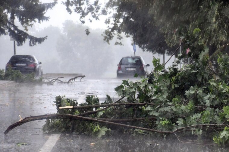 Slavonski Brod: Kratkotrajno snažno nevrijeme lomilo grane drveća u središtu grada