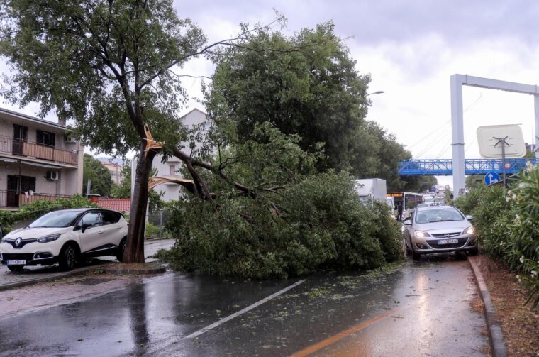 Split: U Vukovarskoj ulici srušilo se stablo tijekom nevremena