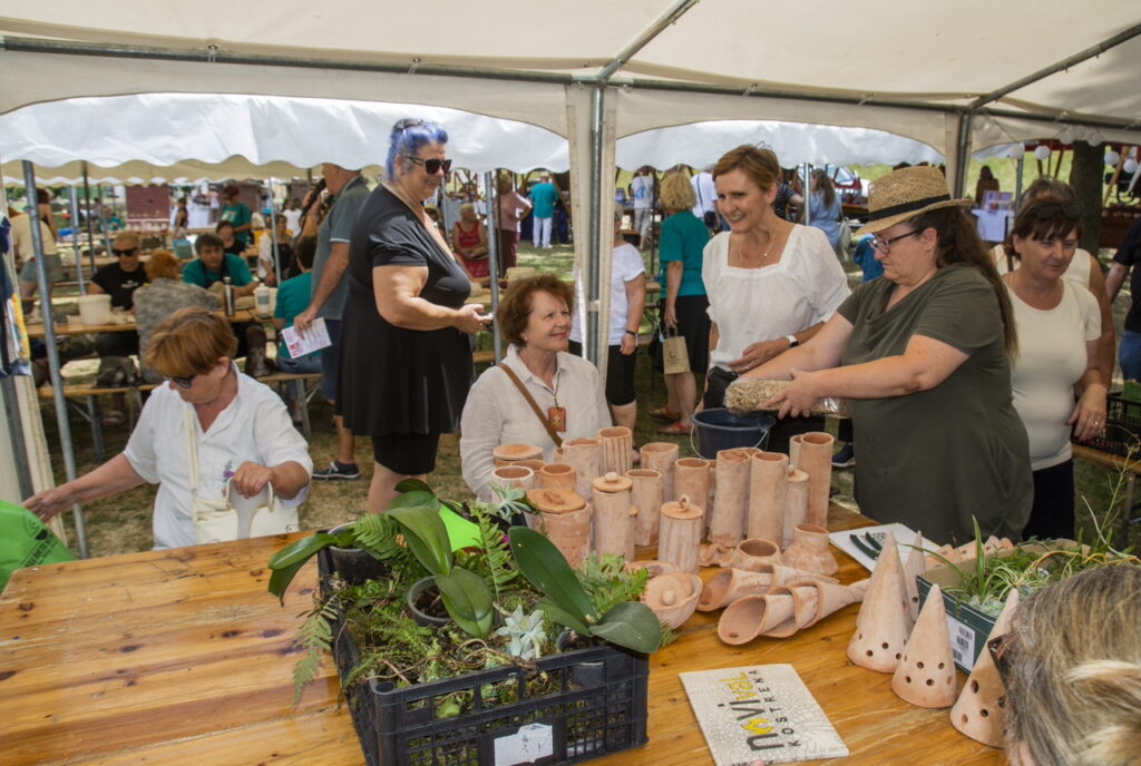 Terra-Panonika_Novi-Val_2025_1-1024×688 Terra-Panonika_Novi-Val_2025_1-1024×688