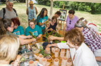 Terra-Panonika_Novi-Val_2025_2-1024×682 Terra-Panonika_Novi-Val_2025_2-1024×682