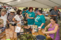 Terra-Panonika_Novi-Val_2025_3-1024×721 Terra-Panonika_Novi-Val_2025_3-1024×721