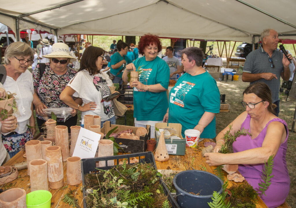 Terra-Panonika_Novi-Val_2025_3-1024×721 Terra-Panonika_Novi-Val_2025_3-1024×721