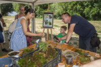 Terra-Panonika_Novi-Val_2025_4-1024×692 Terra-Panonika_Novi-Val_2025_4-1024×692