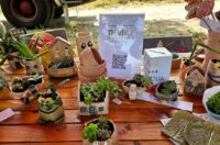 Terra-Panonika_Novi-Val_2025_5-1024×577 Terra-Panonika_Novi-Val_2025_5-1024×577