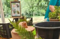 Terra-Panonika_Novi-Val_2025_7-577×1024 Terra-Panonika_Novi-Val_2025_7-577×1024