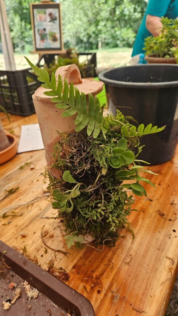 Terra-Panonika_Novi-Val_2025_7-577×1024 Terra-Panonika_Novi-Val_2025_7-577×1024