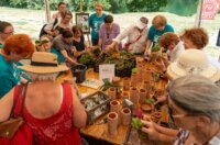 flik2500222-1024×683 flik2500222-1024×683