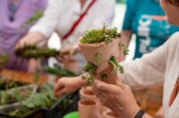 flik2500223-1024×683 flik2500223-1024×683