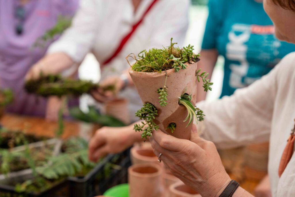 flik2500223-1024×683 flik2500223-1024×683