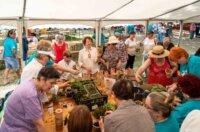 flik2500225-1024×683 flik2500225-1024×683