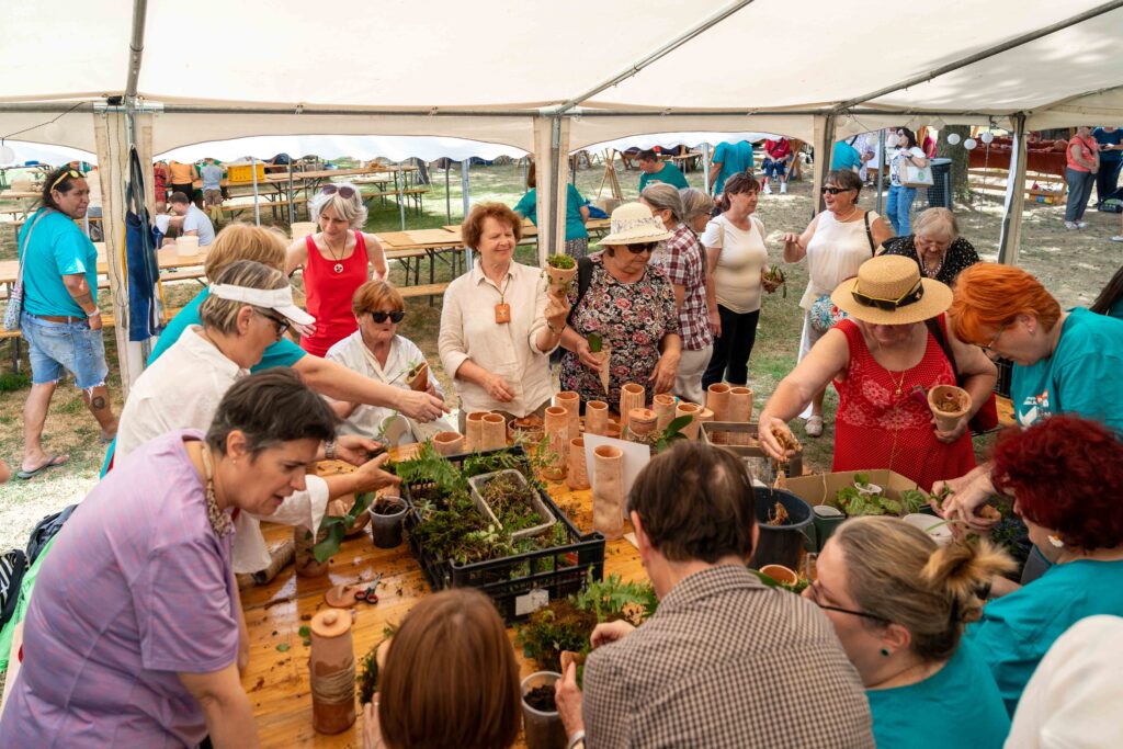 flik2500225-1024×683 flik2500225-1024×683