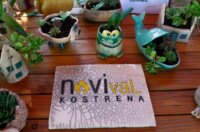 flik2500377-1024×684 flik2500377-1024×684