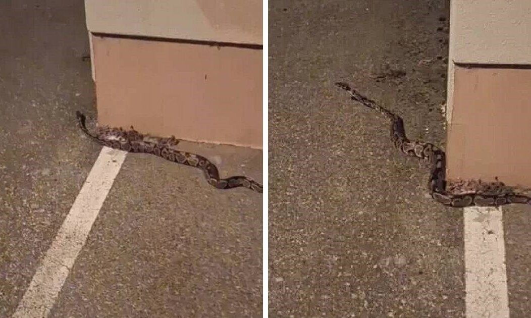 4722a5fe-59cf-48ee-b277-5654b098d290