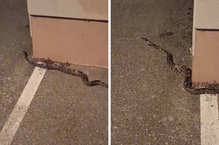 4722a5fe-59cf-48ee-b277-5654b098d290