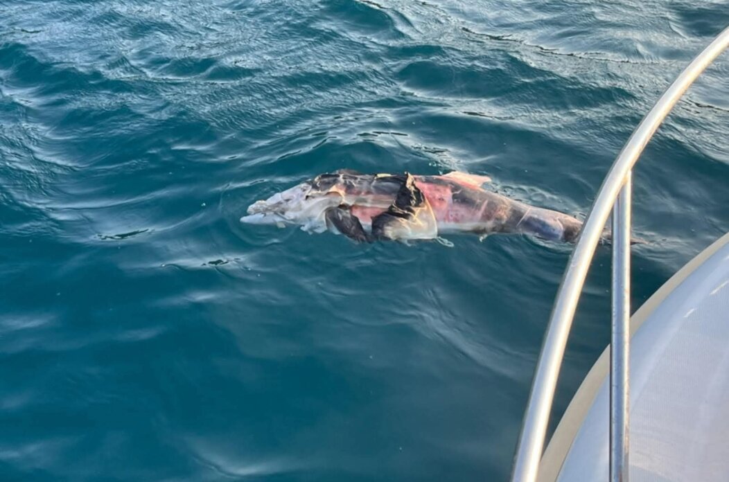 532099658_122238866984217793_3005829667583987320_n