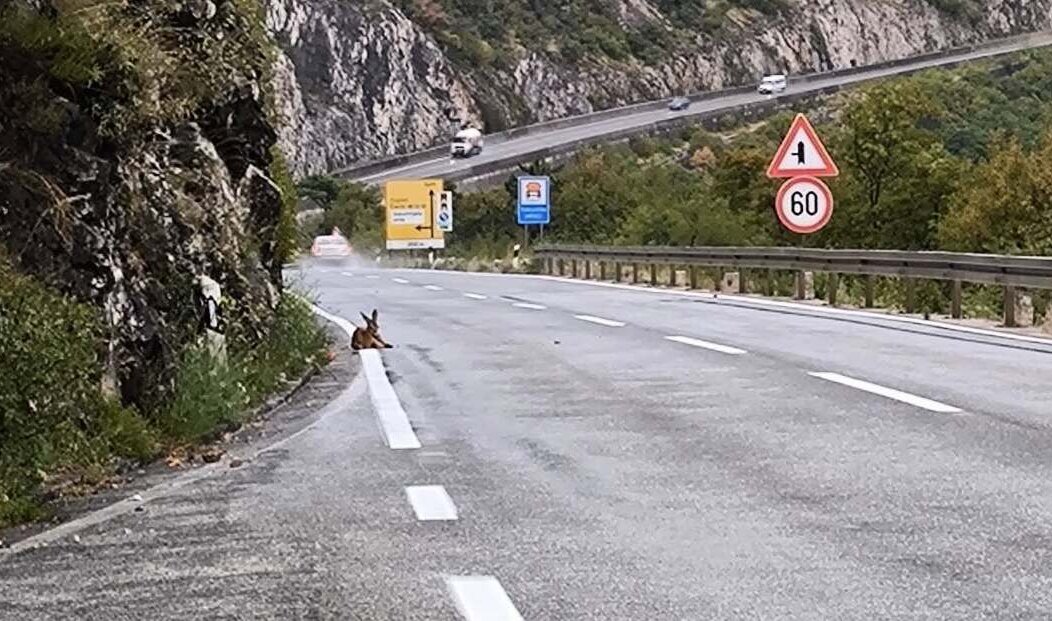 536275970_25313079521614617_7260159629626033836_n (1)