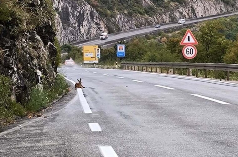 536275970_25313079521614617_7260159629626033836_n (1)