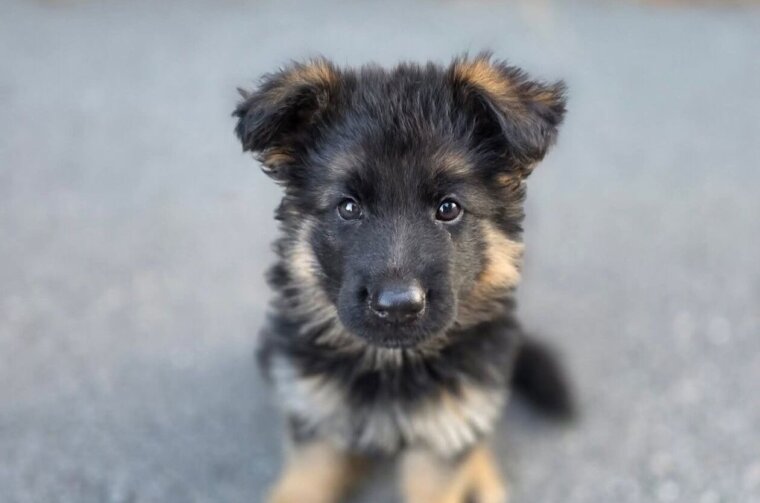 536280516_31342986788648295_904847672034673976_n (1)