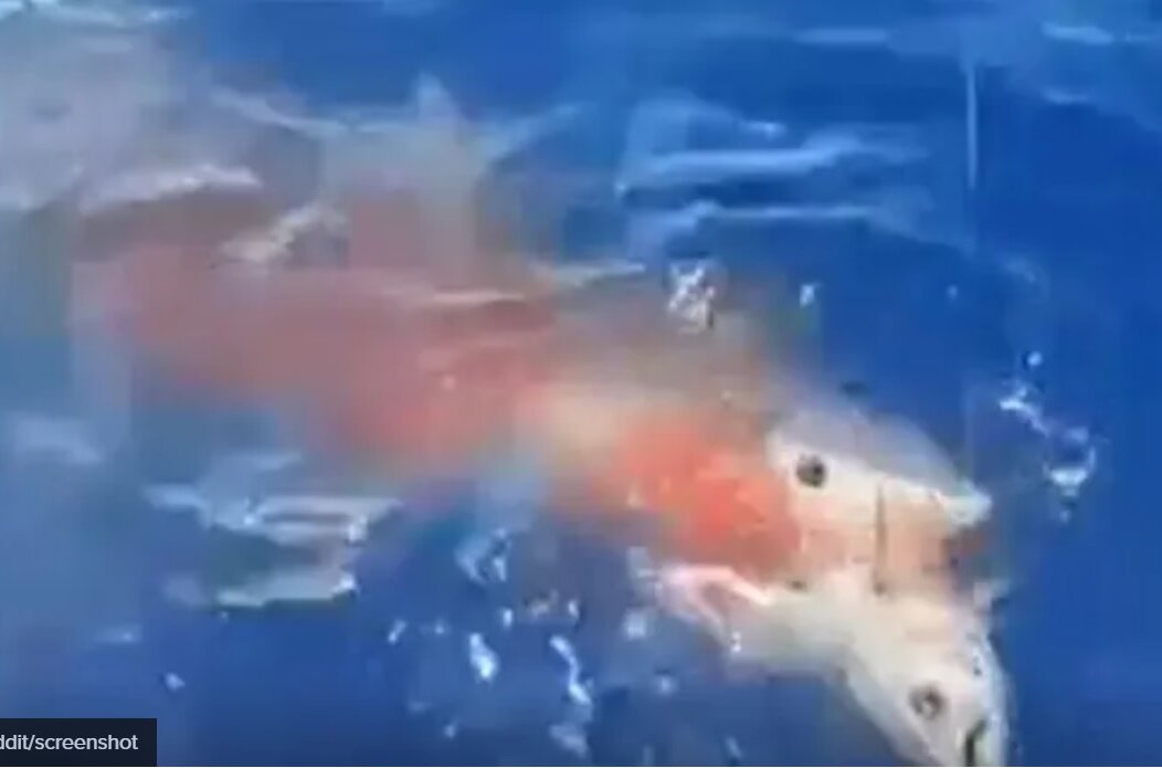 5645648774 5645648774