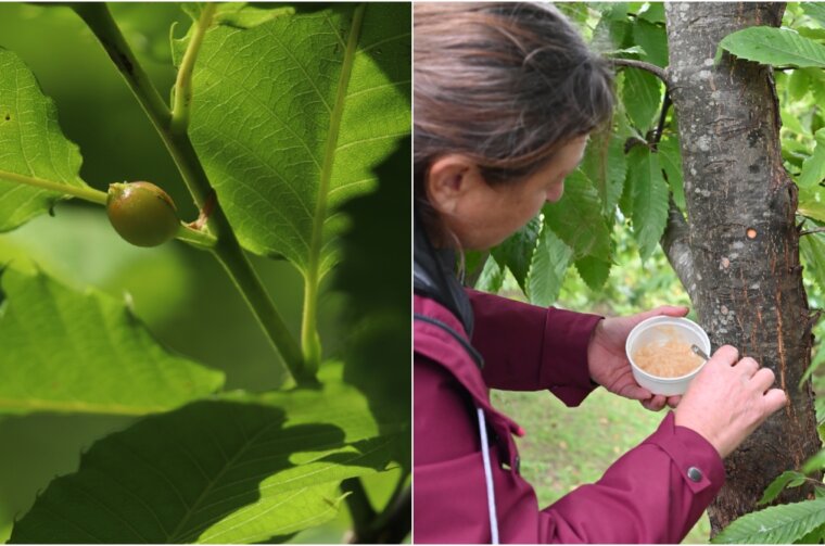 BeFunky-collage (11)