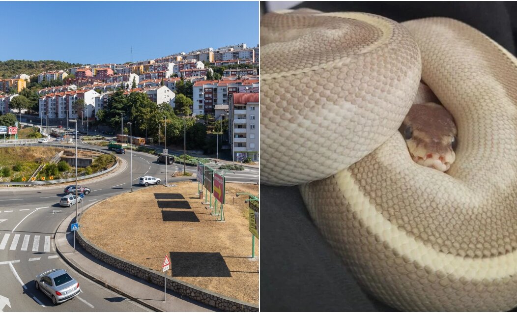 BeFunky-collage (73)