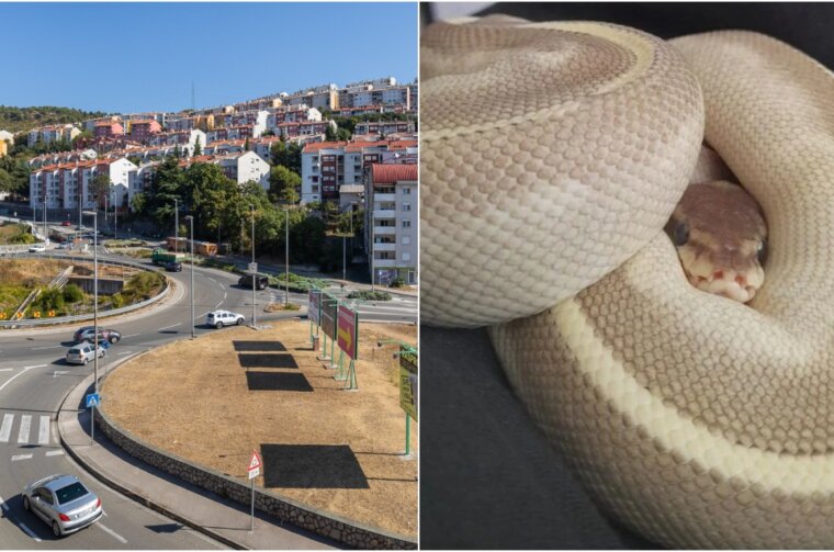 BeFunky-collage (73)