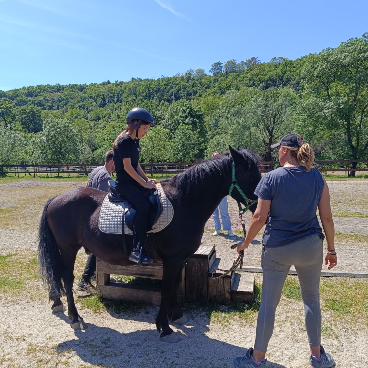 IMG-20250711-WA0008 IMG-20250711-WA0008