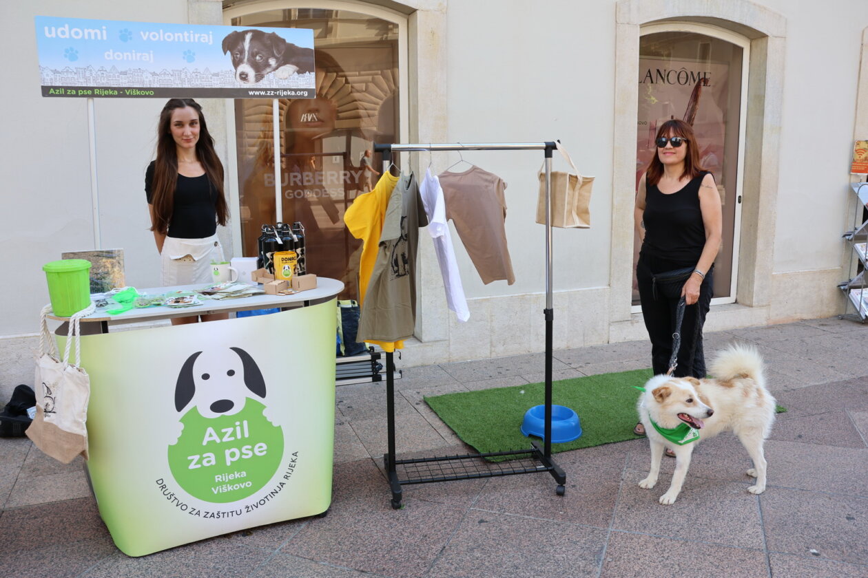 Izlozba-Azilske-ribice-1