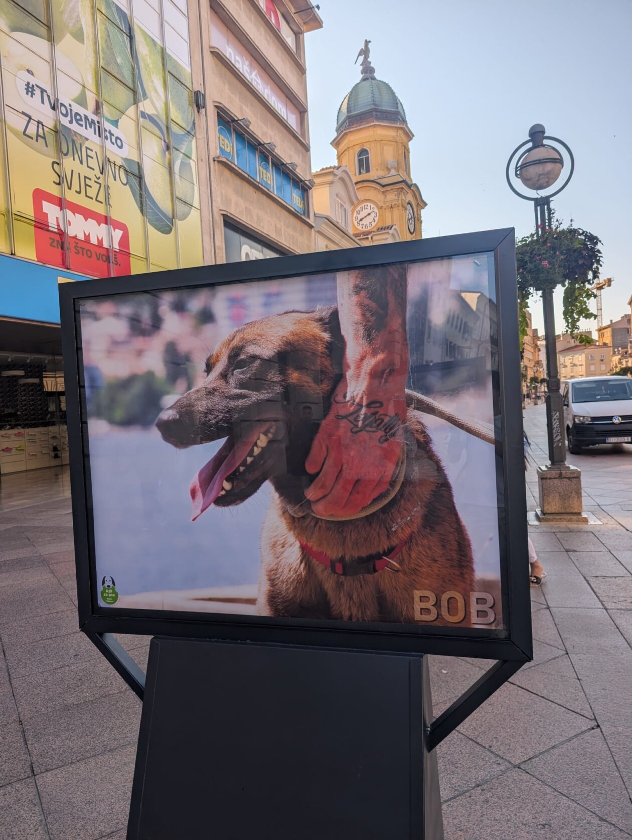 Izlozba-Azilske-ribice-1