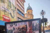 Izlozba-Azilske-ribice-1