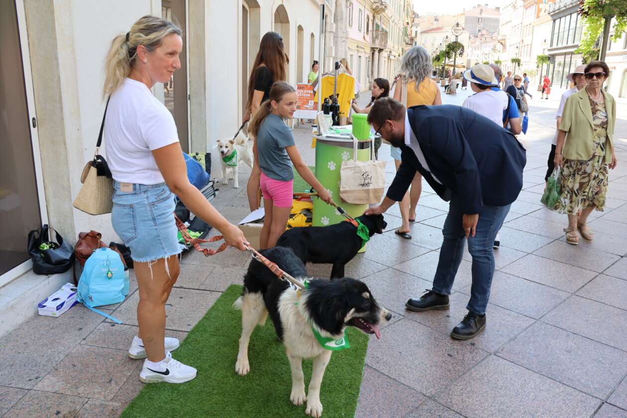 Izlozba-Azilske-ribice-2