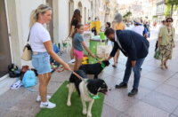 Izlozba-Azilske-ribice-2