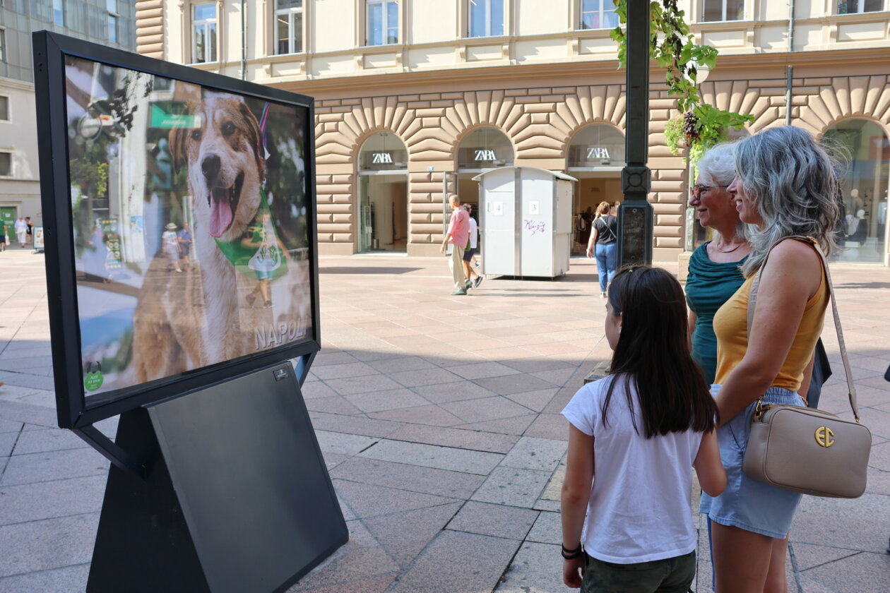 Izlozba-Azilske-ribice-3