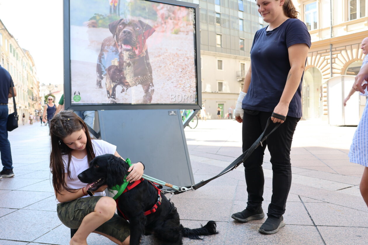 Izlozba-Azilske-ribice-4